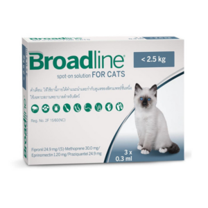 BroadForCat